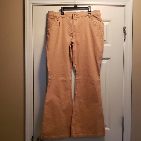 Pant - Picture 1 of 1